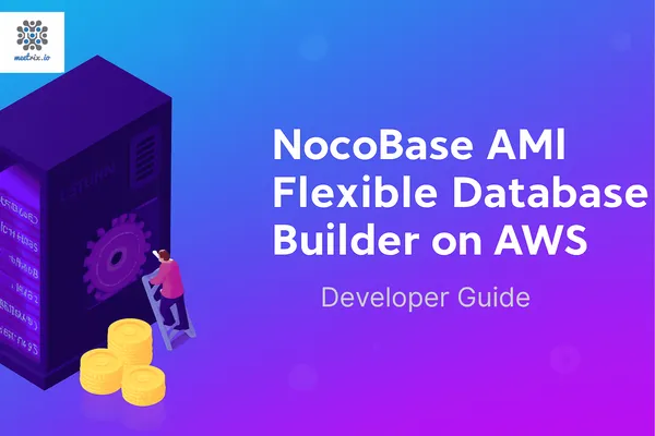 NocoBase - Developer Guide