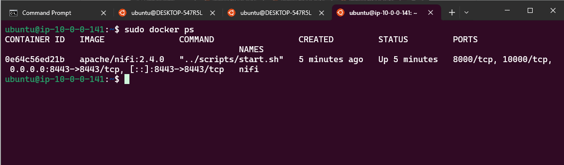 Checking Docker container logs for Apache NiFi