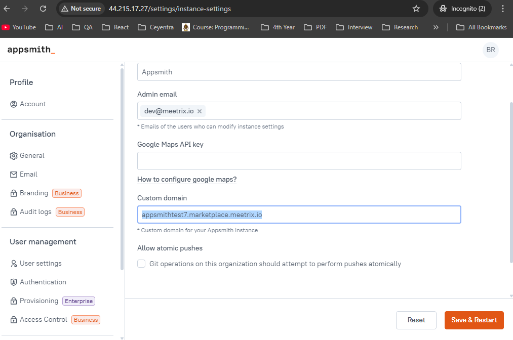 Appsmith custom domain settings