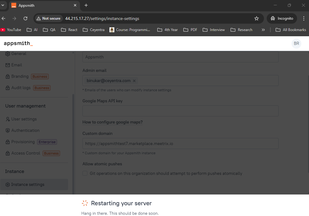 Appsmith save and restart for custom domain