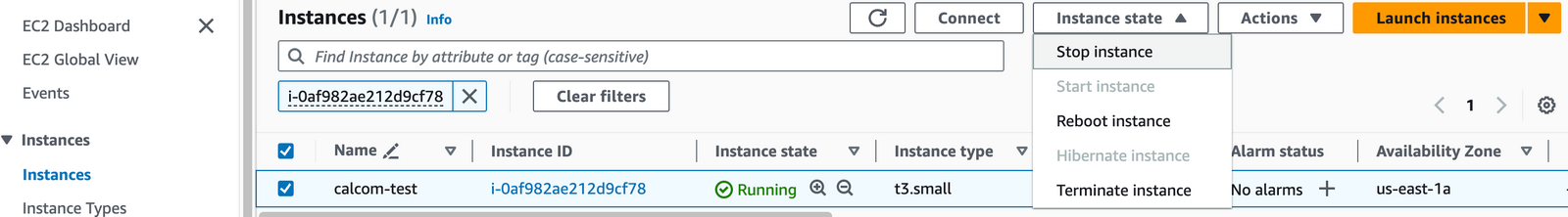 Stopping the Cal.diy EC2 instance