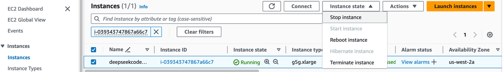 Stopping the DeepSeek Coder EC2 instance