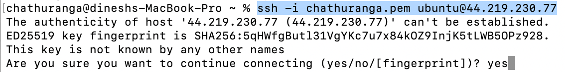 Logging into the DeepSeek Coder server via SSH to check logs