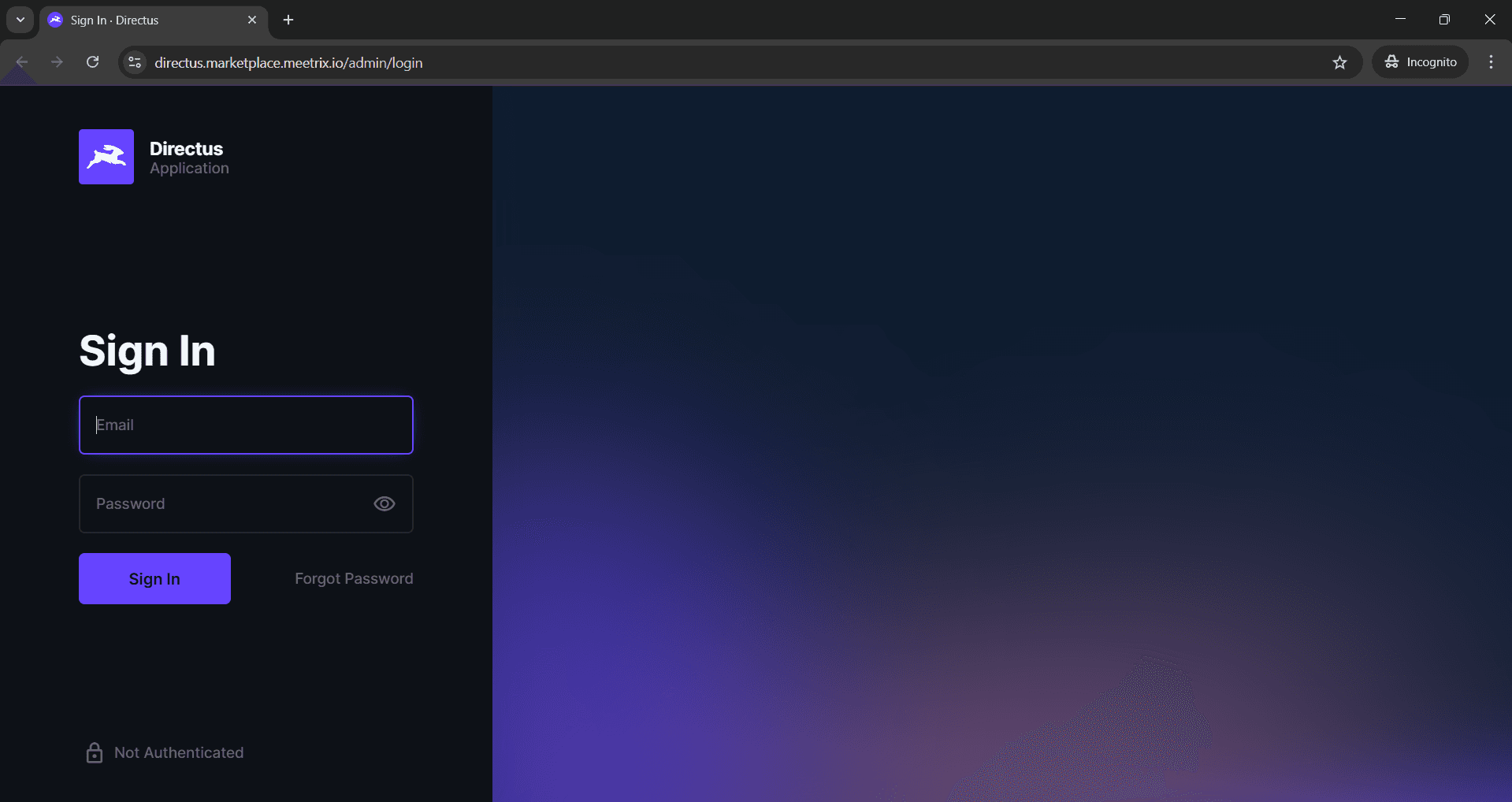 Directus sign-in page