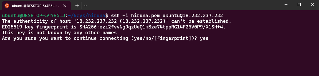SSH connection to server