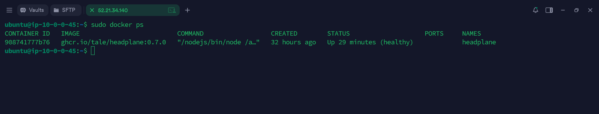 Docker ps output showing the Headplane admin panel container running