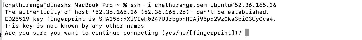 SSH terminal connecting to the Fooocus server