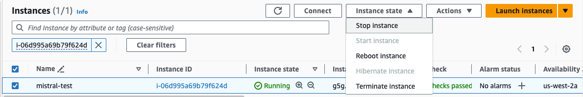 Stopping the Mistral EC2 instance