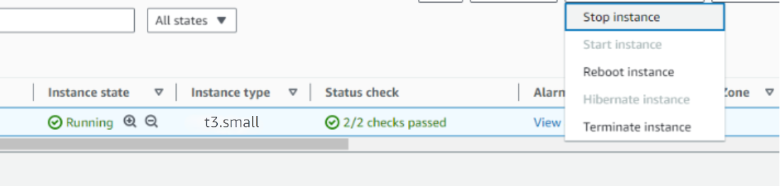 Stop the Open WebUI instance