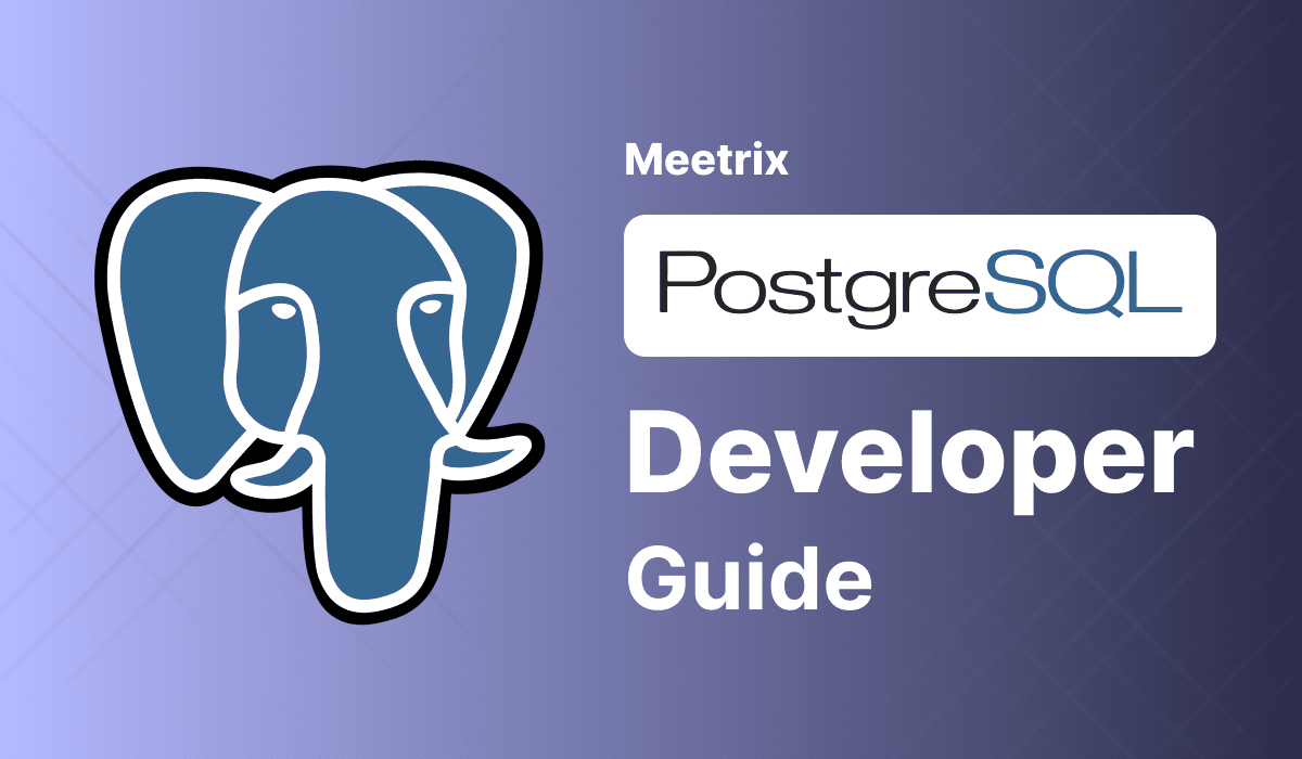 PostgreSQL Developer Guide