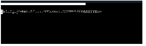 Terminal output showing the RustDesk server's public key