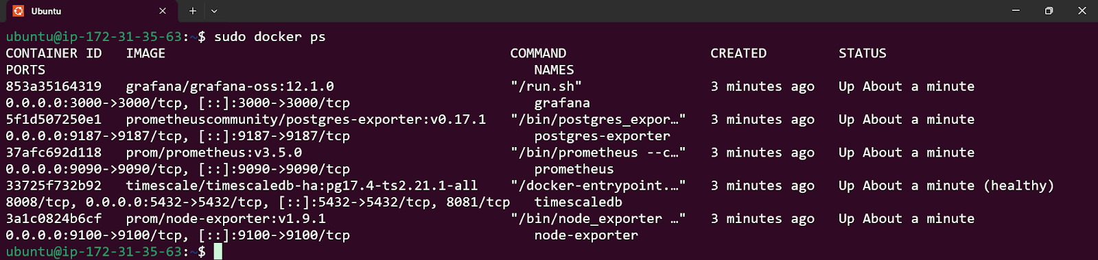 TimescaleDB Developer Guide